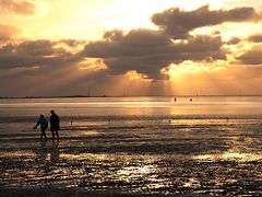  The Wadden Sea located in the North Sea is the world's largest