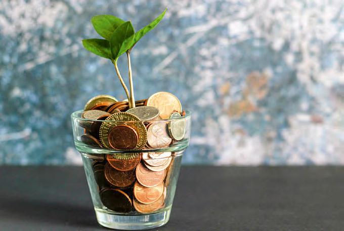 A glass filled with coins. A plant sapling is sprouting from the coins.