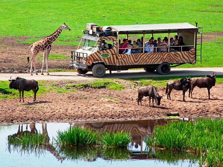  Serengeti Park