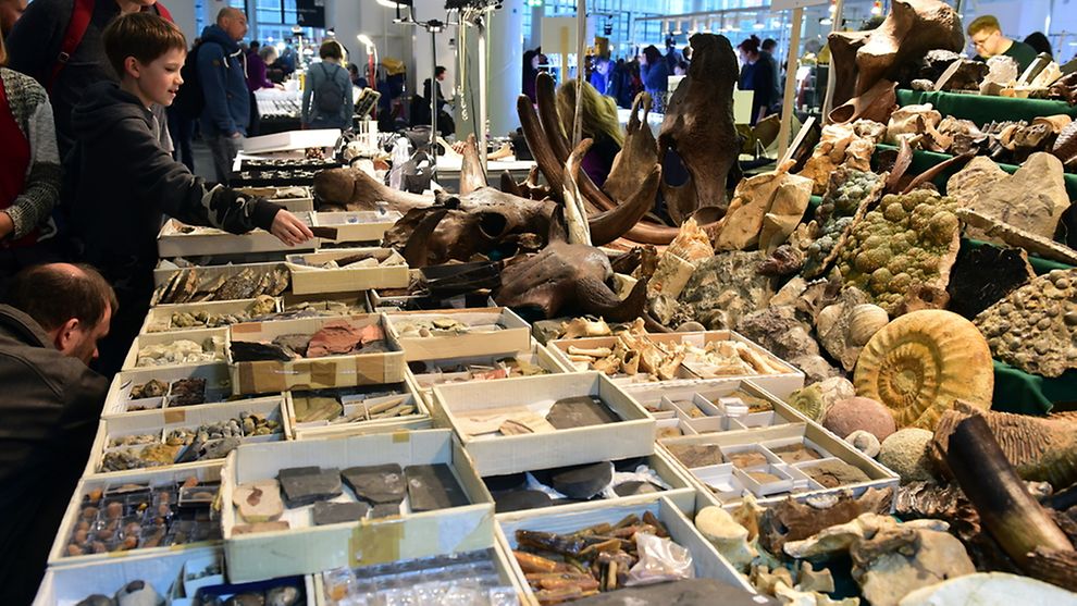 Mineralien Hamburg counts among the world’s largest trade fairs in the business. Gemstones, jewellery and fossils will be on display.