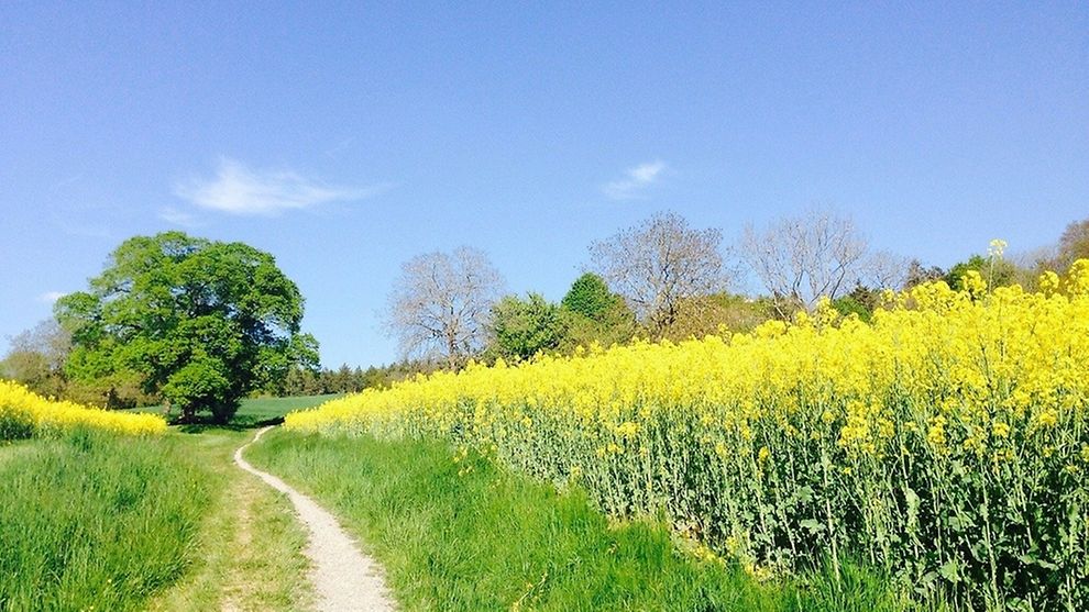 Spring has many long weekends to offer which are perfect for a bike ride through nature