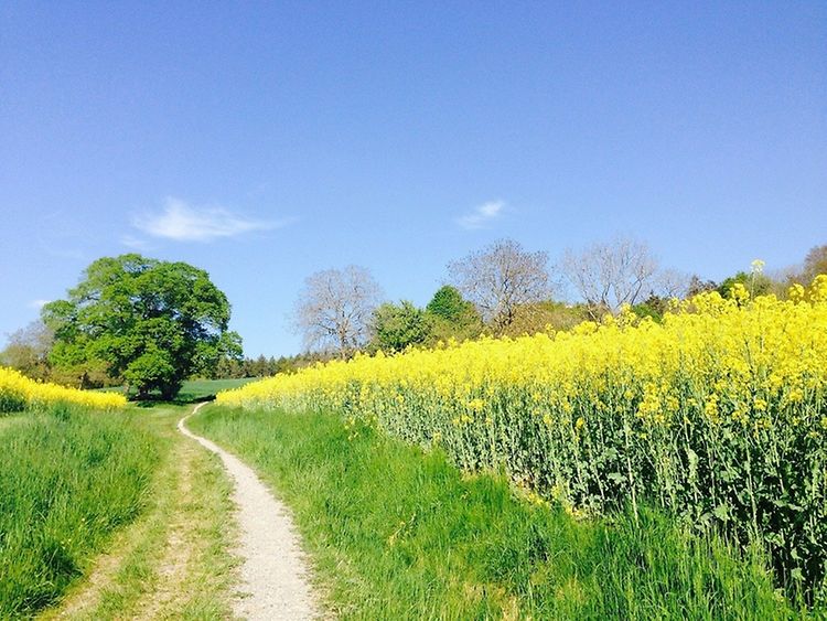  Spring has many long weekends to offer which are perfect for a bike ride through nature