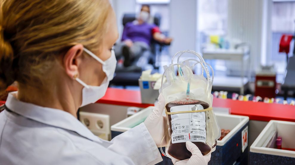  How To Donate Blood In Hamburg