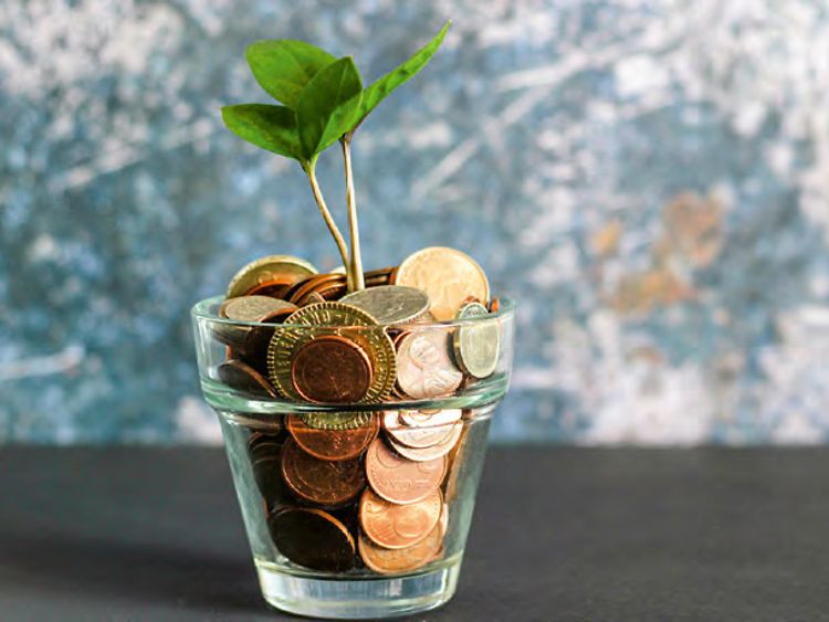  A glass filled with coins. A plant sapling is sprouting from the coins.