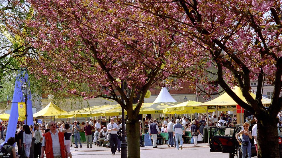  Altländer Blossom Festival