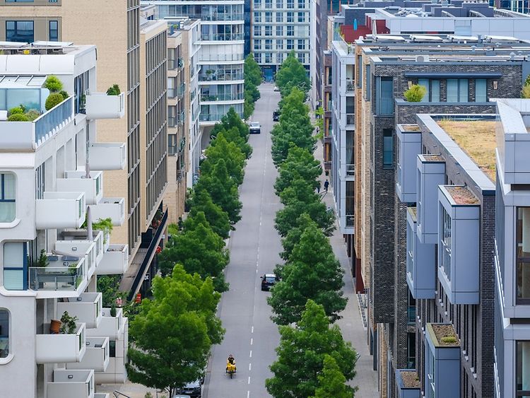  View of a street in Hamburg's HafenCity quarter lined with trees and modern residential architecture on either side