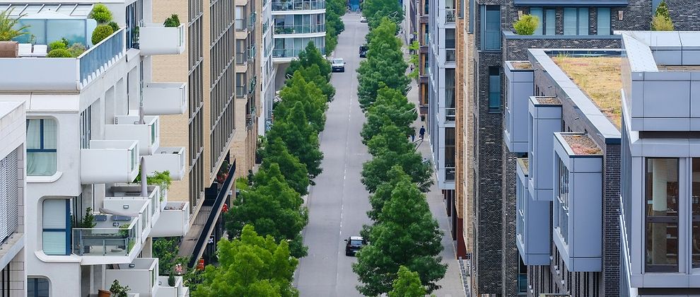  View of a street in Hamburg's HafenCity quarter lined with trees and modern residential architecture on either side