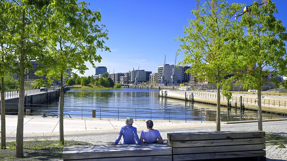  A couple on wooden bench on a dock lined with trees and modern architecture