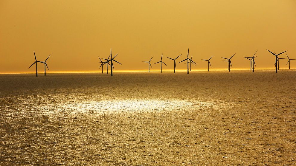 Wind turbines in the sea in the distance in golden light at dusk