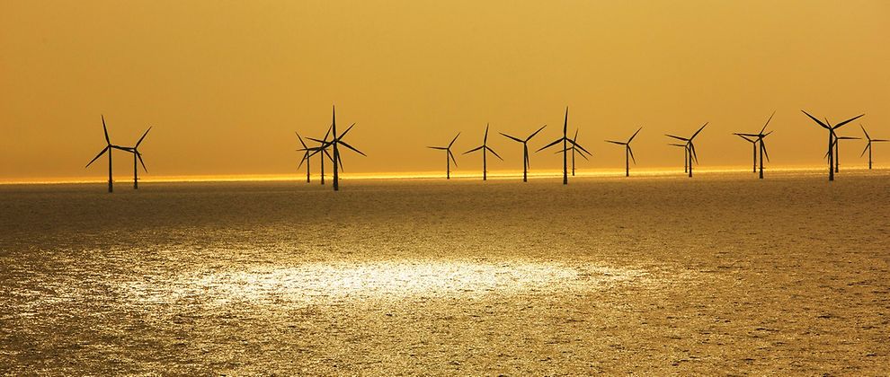  Wind turbines in the sea in the distance in golden light at dusk